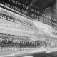 Devops missing objective - User Satisfaction